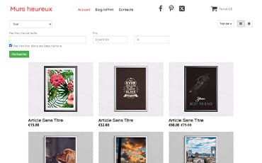Aperçu d'une boutique en ligne créée avec SiteBuilder Pro, incluant catalogue, panier et paiements intégrés.